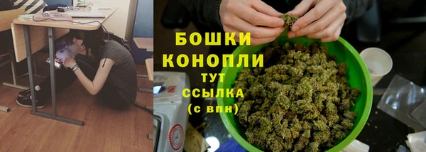 ГАЛЛЮЦИНОГЕННЫЕ ГРИБЫ Абаза