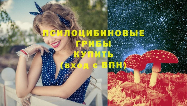 ГАЛЛЮЦИНОГЕННЫЕ ГРИБЫ Абаза