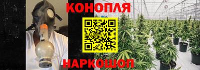 СК Донской