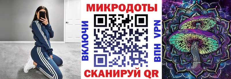 продажа наркотиков  kraken как зайти  Псилоцибиновые грибы Cubensis  Моздок 