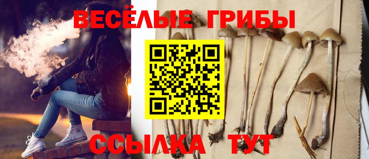 Псилоцибиновые грибы GOLDEN TEACHER  где можно купить   Моздок  Псилоцибиновые грибы мухоморы  Вход с VPN 
